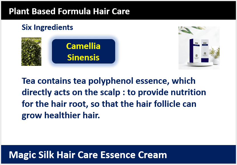 Magic Silk Hair Care Essence Cream